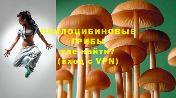 мдпв Лихославль